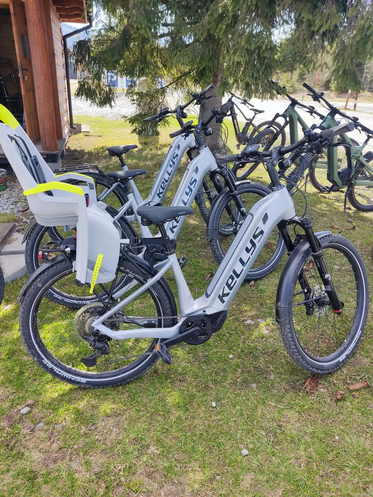 Rower trekkingowy z fotelikiem dziecięcym w wypożyczalni U Magdy